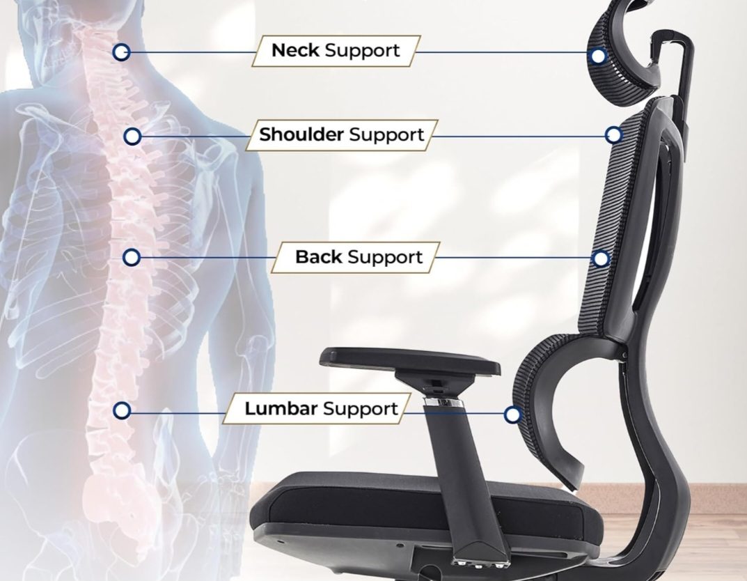 Neck, shoulder, back and lumbar support diagram